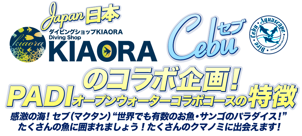 日本(KIAORA)セブ(AquaScape)のコラボ企画！ 感激の海！セブ（マクタン）“世界でも有数のお魚・サンゴのパラダイス！”たくさんの魚に囲まれましょう！たくさんのクマノミに出会えます！