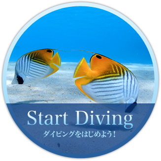 Start Diving　ダイビングをはじめよう！
